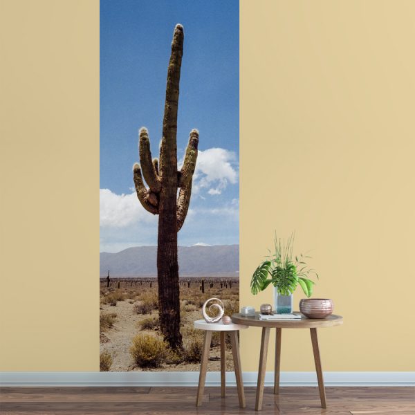 papier peint cactus